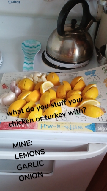 what do you stuff your chicken or turkey with? MINE: LEMONS GARLIC ONION